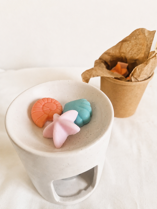 Wax melts o velas aromáticas: diferencias, ventajas y cuál elegir para tu hogar
